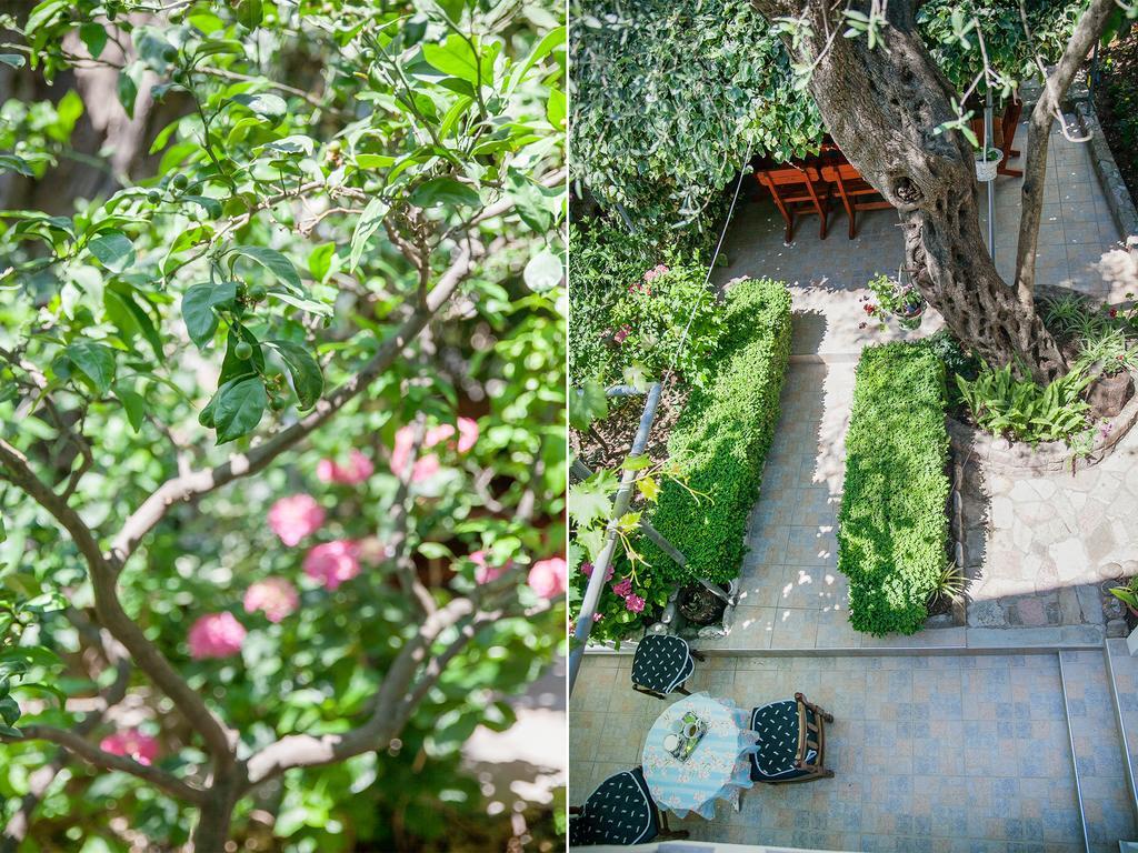 Rooms Garden Petrovac 外观 照片